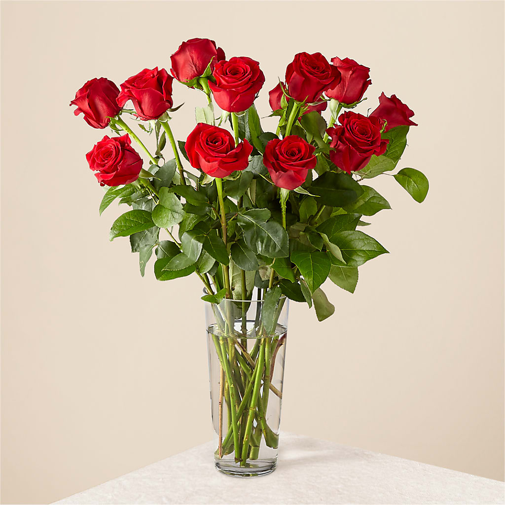 Long Stem Red Rose Bouquet – Gateway Florist, Rockwood TN