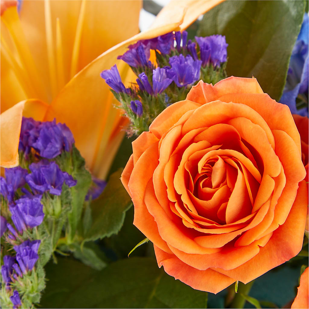 Radiant Citrus Box Bouquet – Gateway Florist, Rockwood TN