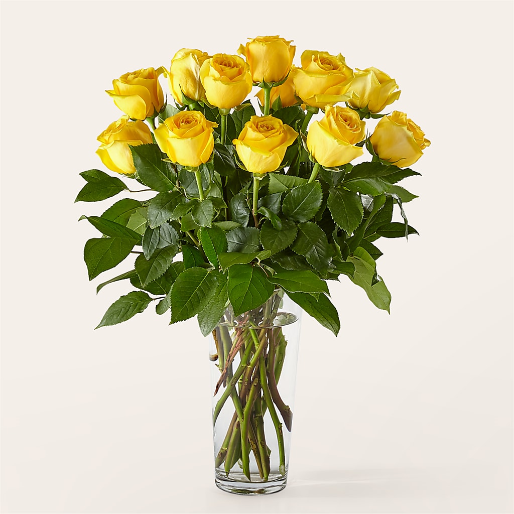 Long Stem Yellow Rose Bouquet – Gateway Florist, Rockwood TN