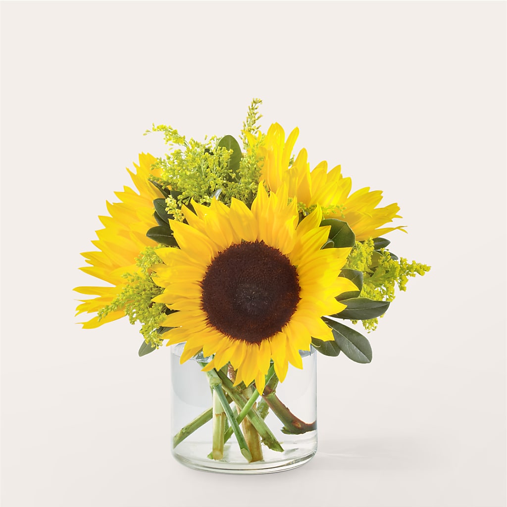 Beaming Sunflower Bouquet – Gateway Florist, Rockwood TN