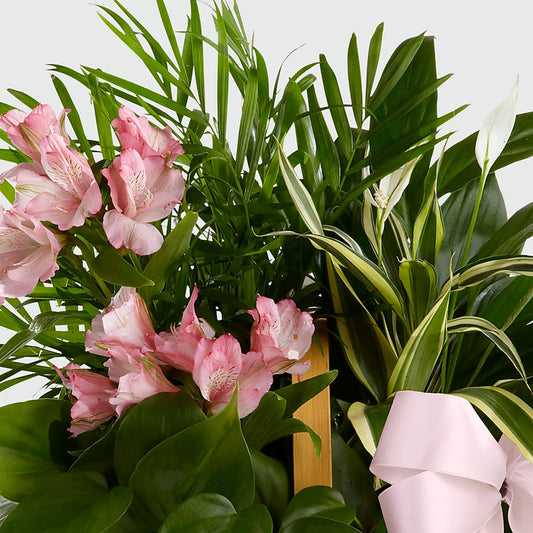 Living Spirit Dishgarden – Gateway Florist, Rockwood TN