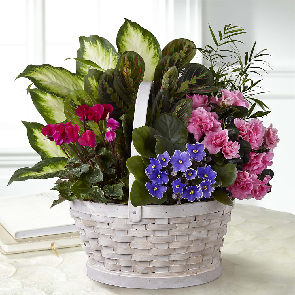 Peaceful Garden Planter – Gateway Florist, Rockwood TN
