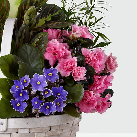 Peaceful Garden Planter – Gateway Florist, Rockwood TN