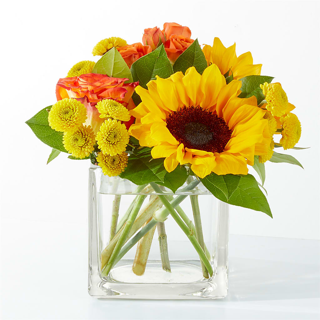 Picnic in the Park Bouquet – Gateway Florist, Rockwood TN
