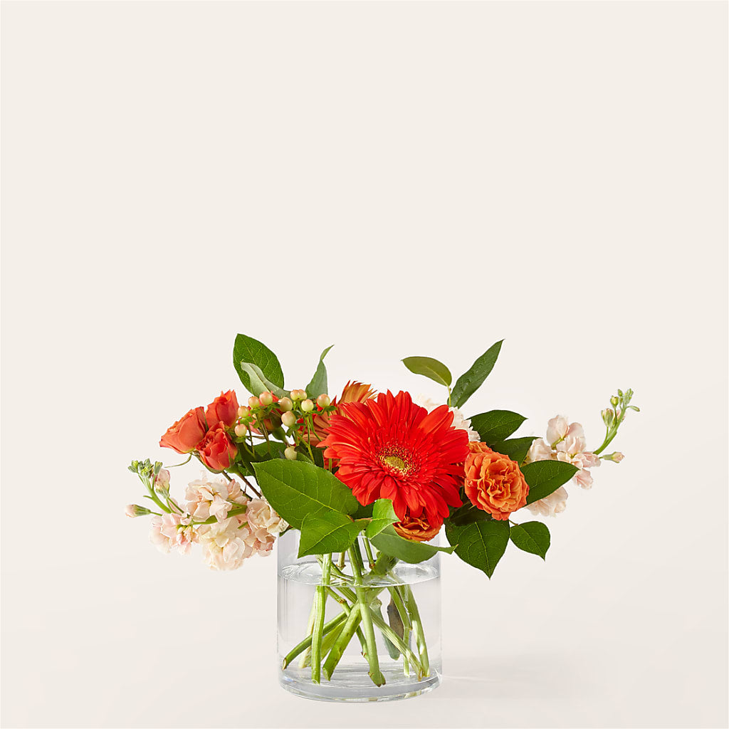 Paloma Please Bouquet – Gateway Florist, Rockwood TN