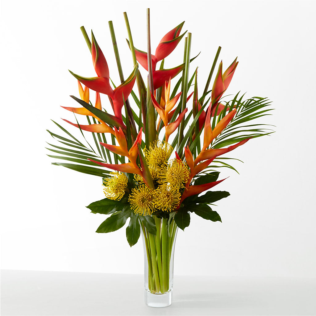 The Drama – Gateway Florist, Rockwood TN