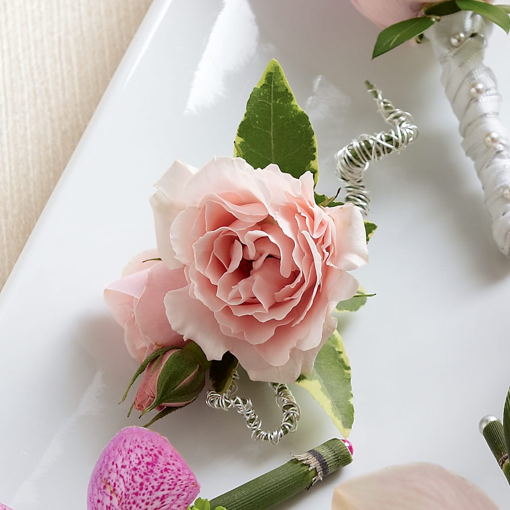 Pink Spray Rose Boutonniere – Gateway Florist, Rockwood TN