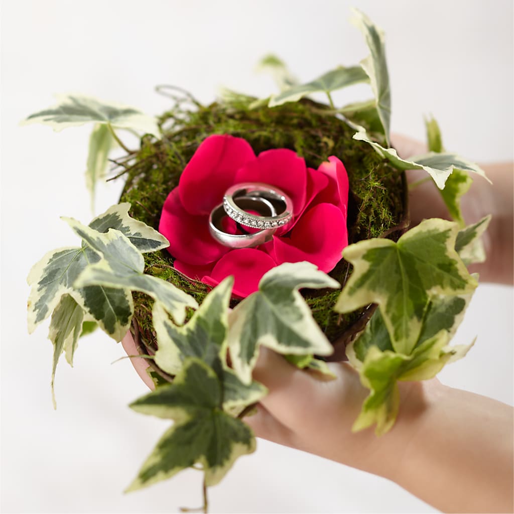 Lila Rose Ring Nest – Gateway Florist, Rockwood TN