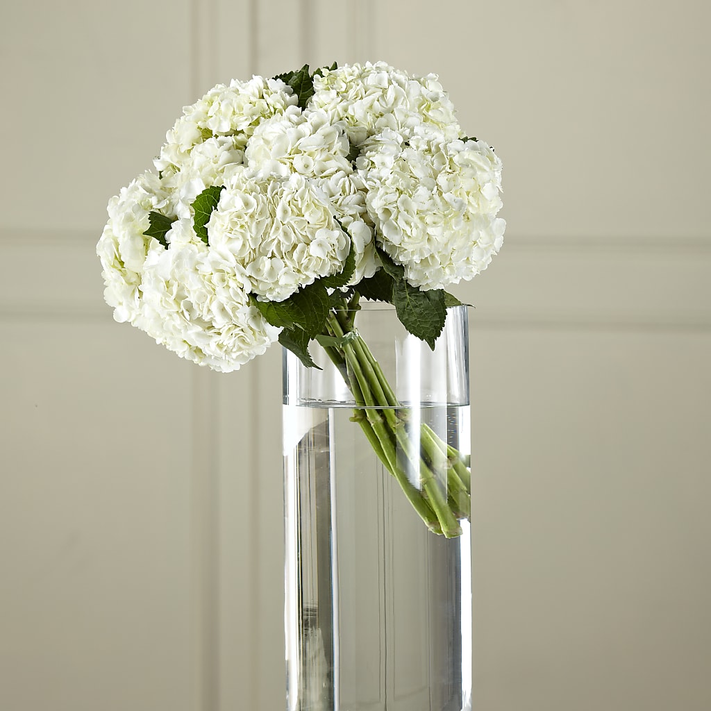 White Hydrangea Hand-Tied Bouquet – Gateway Florist, Rockwood TN