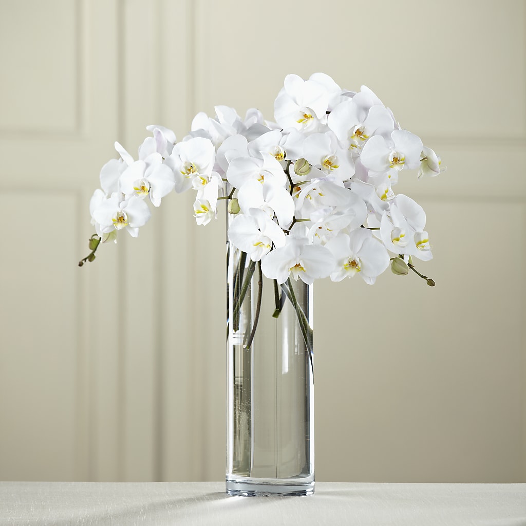 White Phalaenopsis Bouquet – Gateway Florist, Rockwood TN