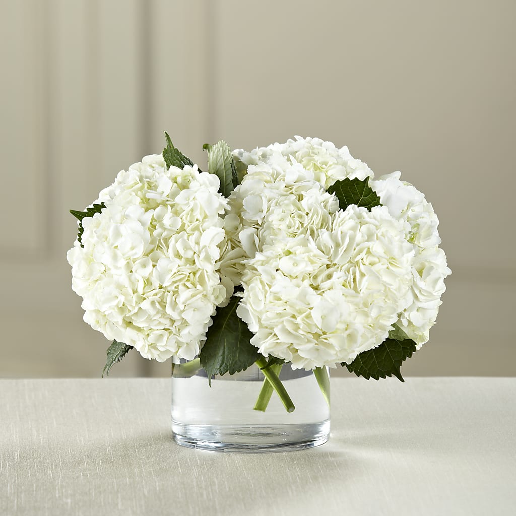 White Hydrangea Bouquet – Gateway Florist, Rockwood TN