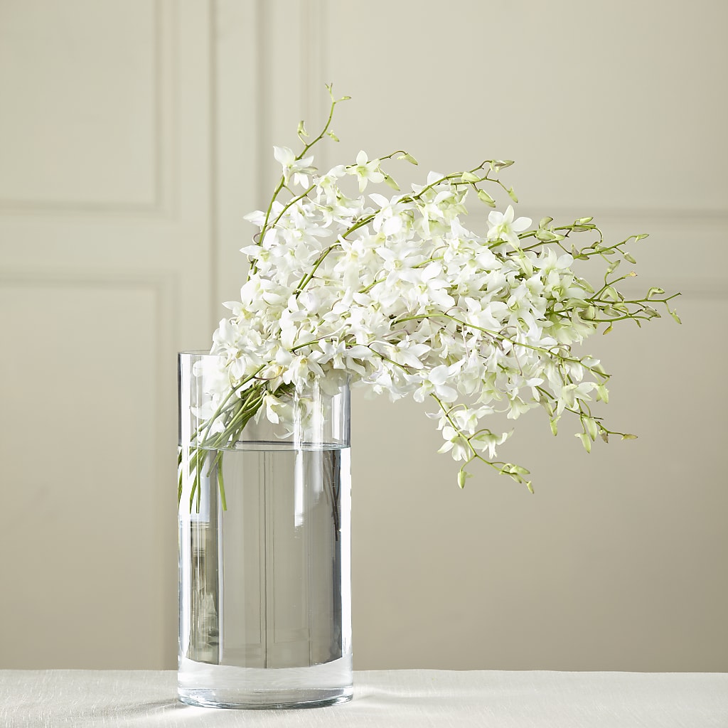 White Dendrobium Bouquet – Gateway Florist, Rockwood TN