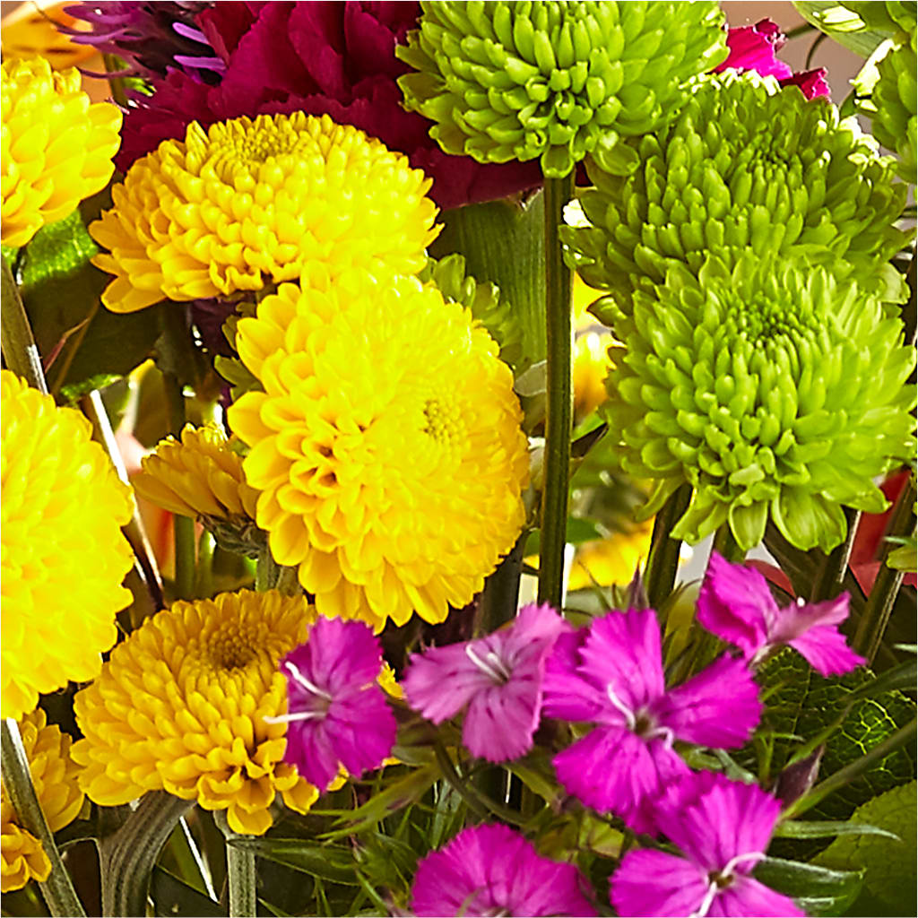 Bold & Bright – A Florist Original –  Gateway Florist, Rockwood TN