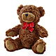 Adorable Plush Bear –  Gateway Florist, Rockwood TN