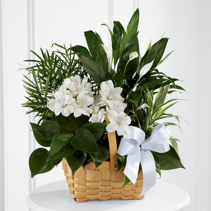 Peace & Serenity Dishgarden –  Gateway Florist, Rockwood TN