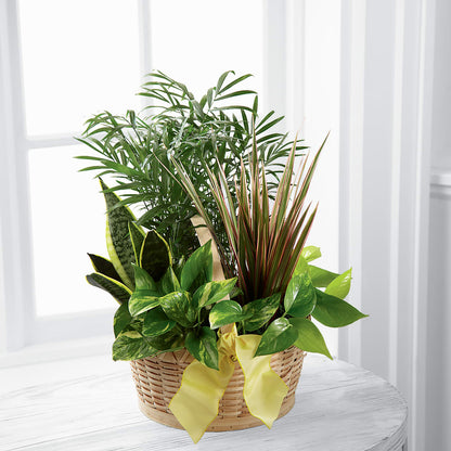 French Garden –  Gateway Florist, Rockwood TN