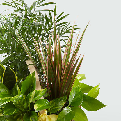 French Garden –  Gateway Florist, Rockwood TN