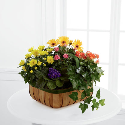 Gentle Blossoms Basket –  Gateway Florist, Rockwood TN