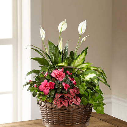 Dream in Pink Dishgarden –  Gateway Florist, Rockwood TN