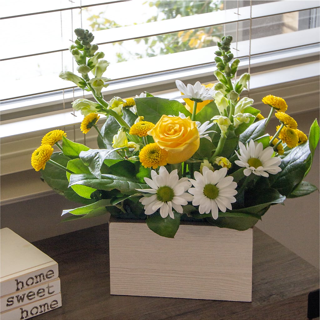 Sun Salutation Box Bouquet –  Gateway Florist, Rockwood TN