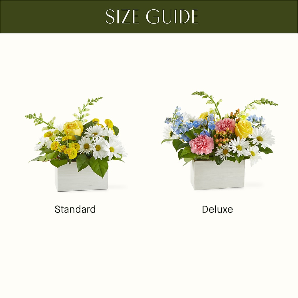 Sun Salutation Box Bouquet –  Gateway Florist, Rockwood TN