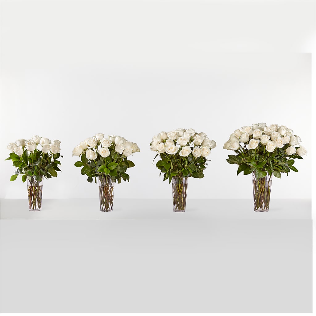 Long Stem White Rose Bouquet –  Gateway Florist, Rockwood TN
