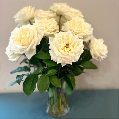 Long Stem Yellow Rose Bouquet –  Gateway Florist, Rockwood TN