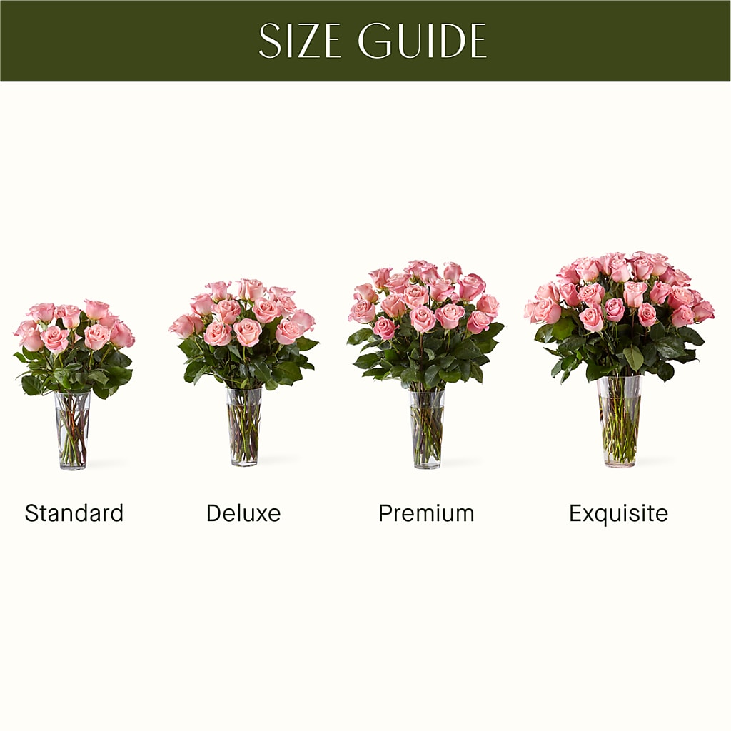 Long Stem Pink Rose Bouquet –  Gateway Florist, Rockwood TN
