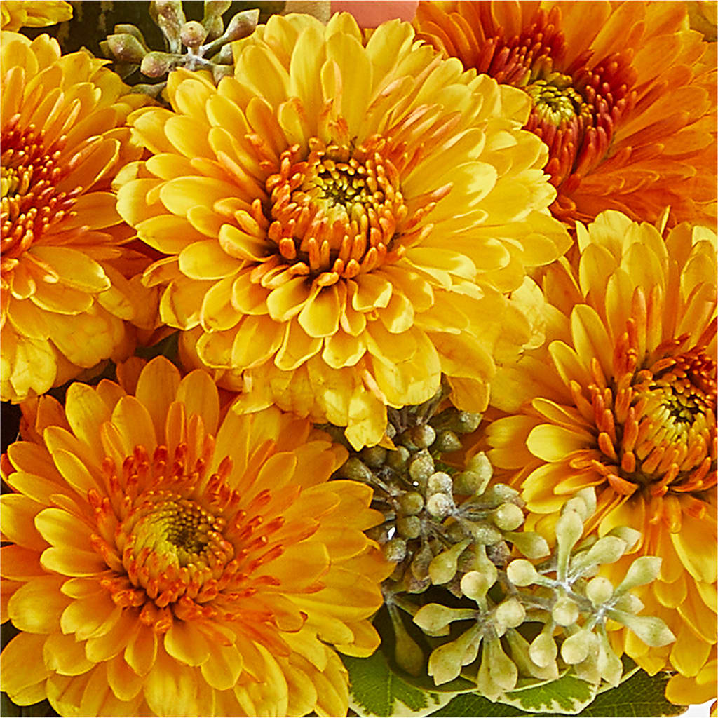 Peachy Pumpkin –  Gateway Florist, Rockwood TN