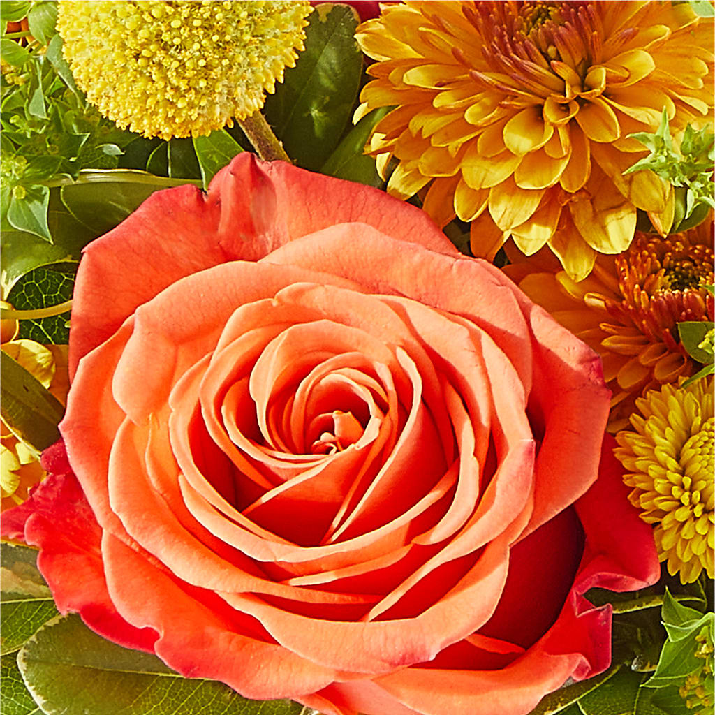 Gourdgeous Pumpkin –  Gateway Florist, Rockwood TN