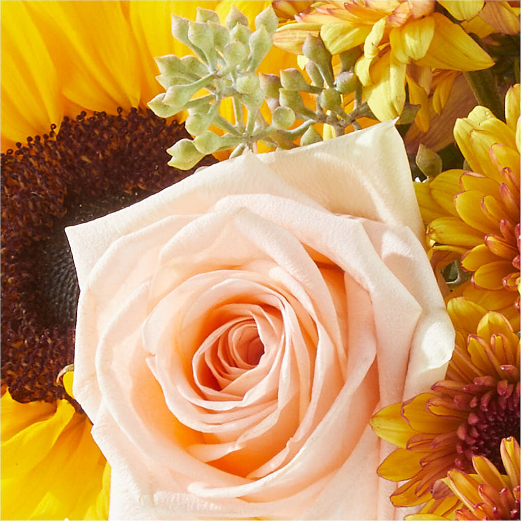 Pumpkin to Talk About Bouquet –  Gateway Florist, Rockwood TN