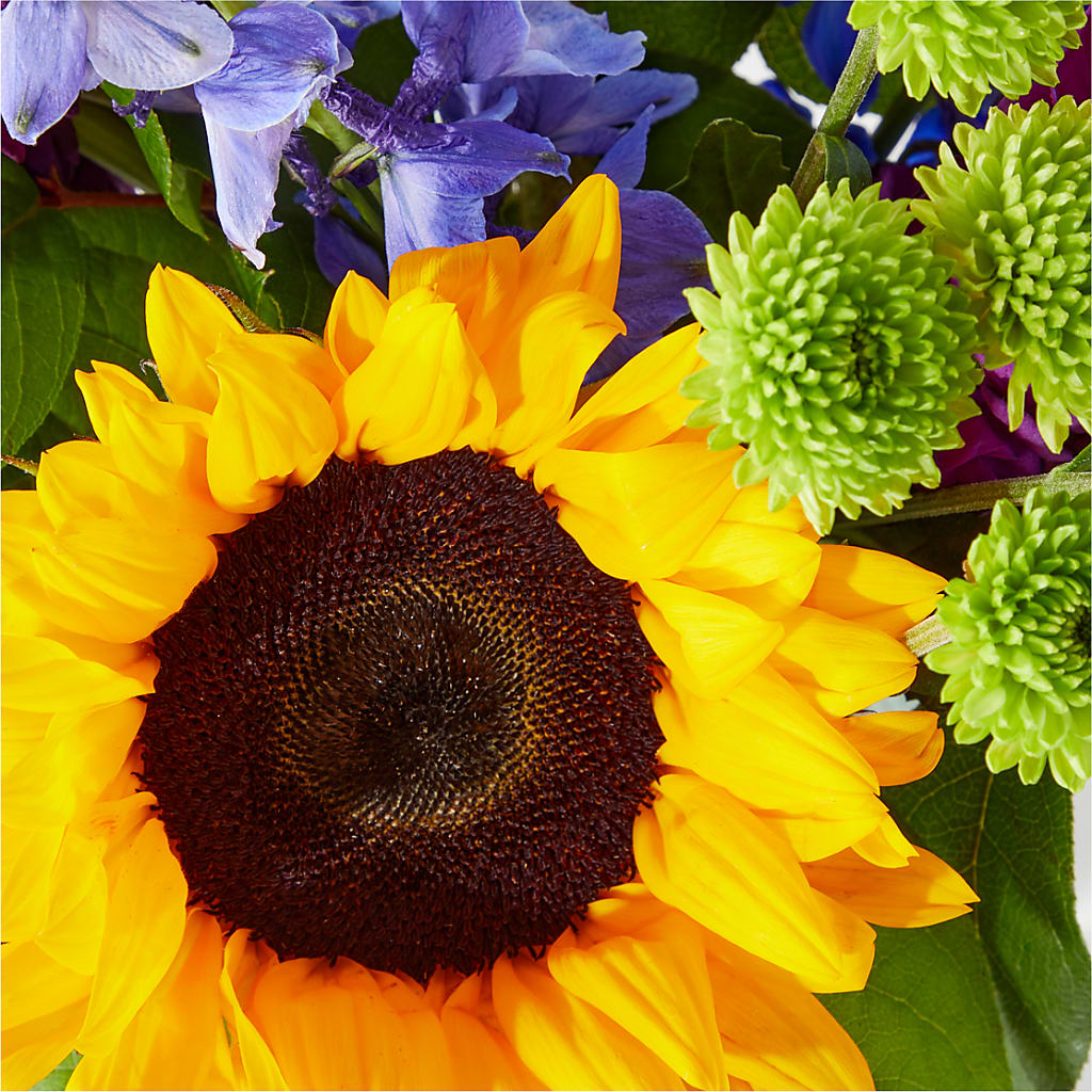 Catching Rays Bouquet –  Gateway Florist, Rockwood TN