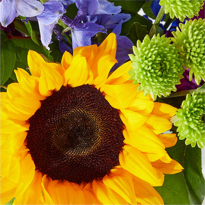 Catching Rays Bouquet –  Gateway Florist, Rockwood TN