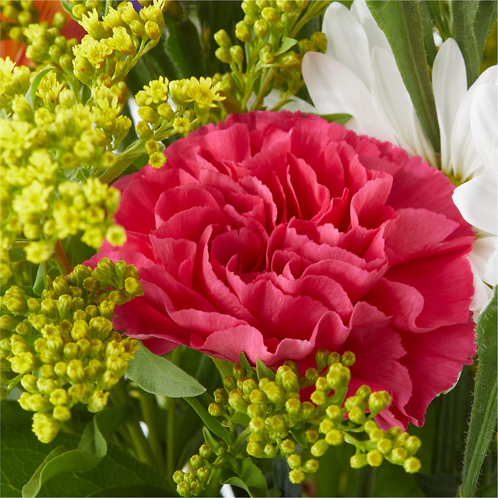 Oopsie Daisy Bouquet –  Gateway Florist, Rockwood TN