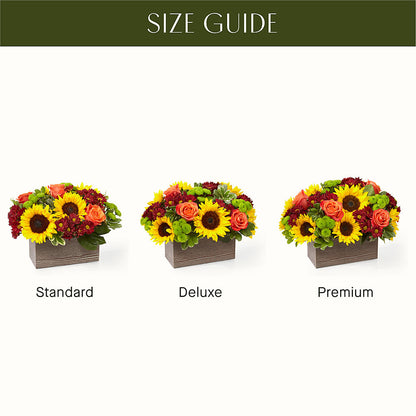 Happy Harvest Garden –  Gateway Florist, Rockwood TN