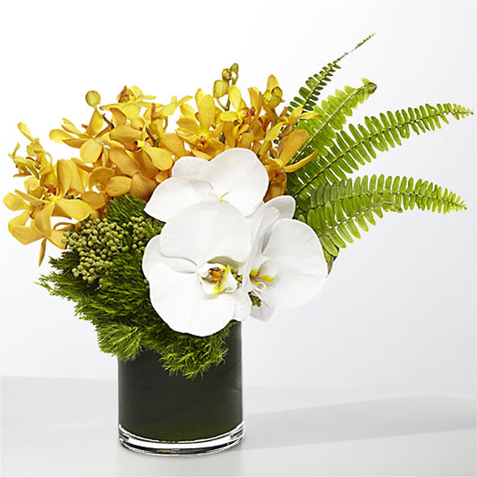 The Tropics –  Gateway Florist, Rockwood TN
