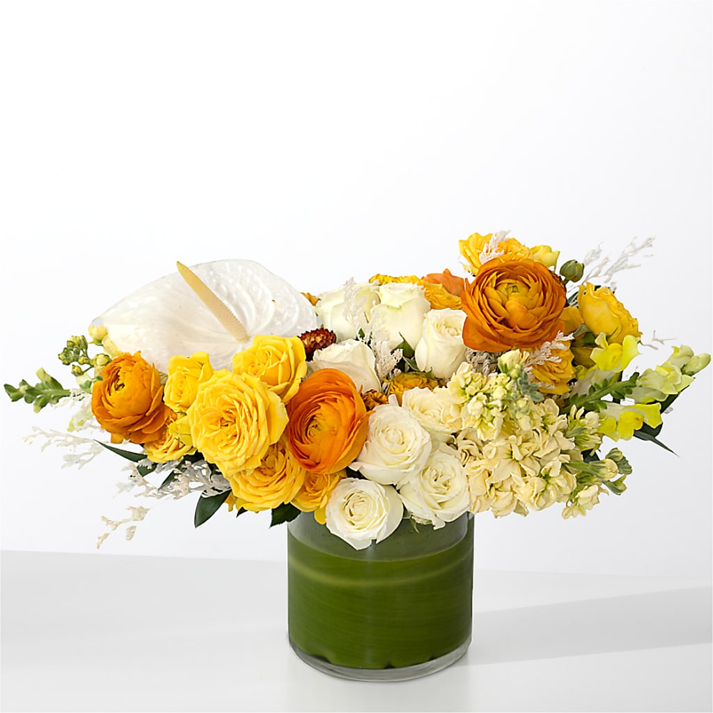 The Optimist