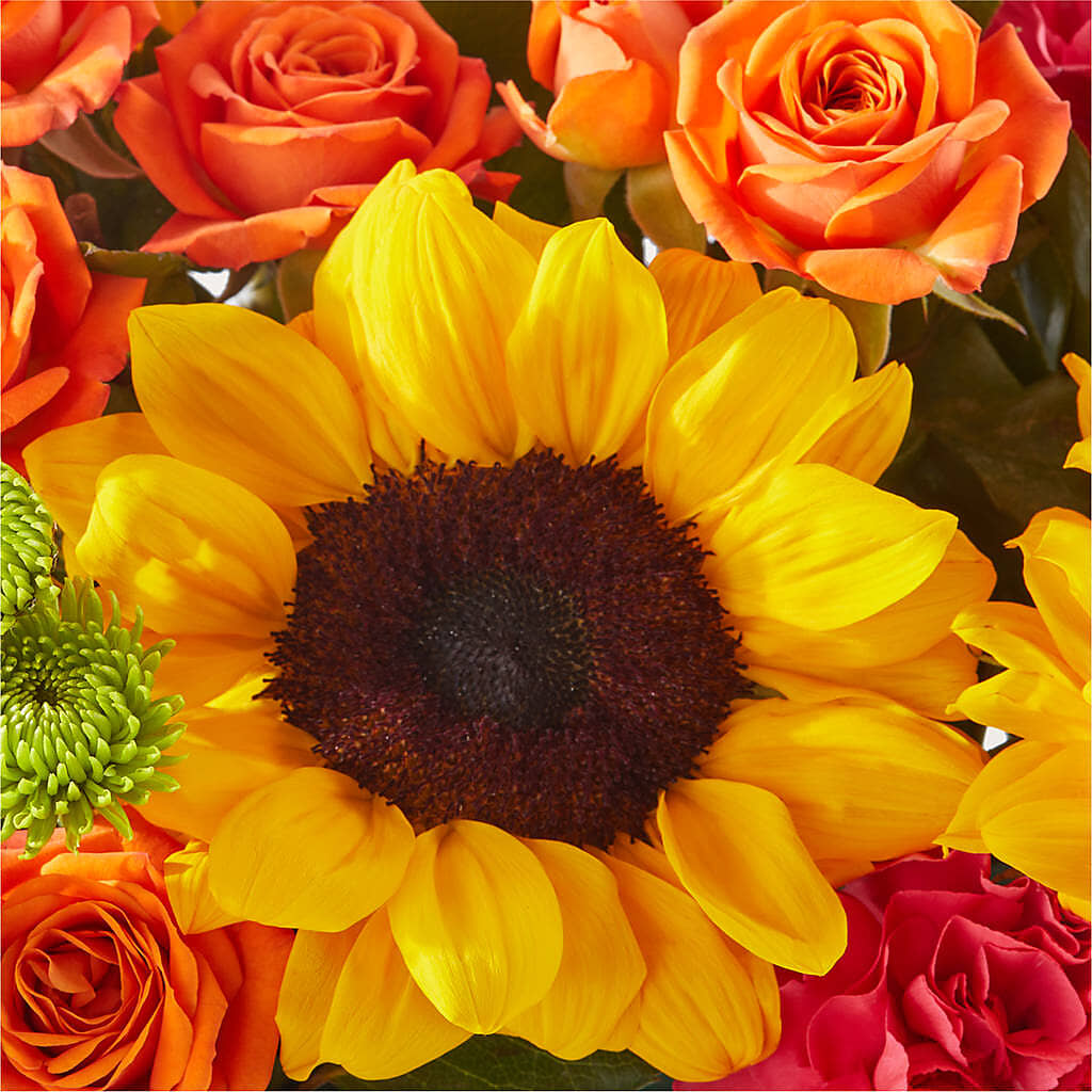 Sun-drenched Blooms Box Bouquet –  Gateway Florist, Rockwood TN