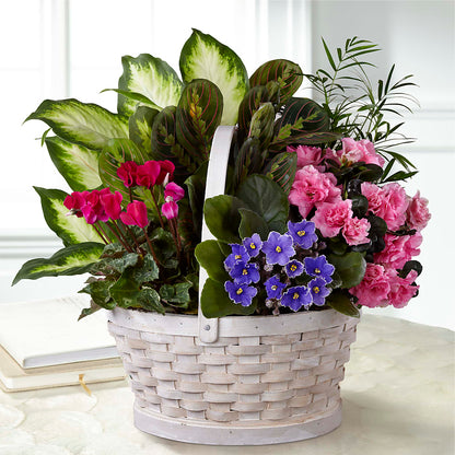 Peaceful Garden Planter –  Gateway Florist, Rockwood TN