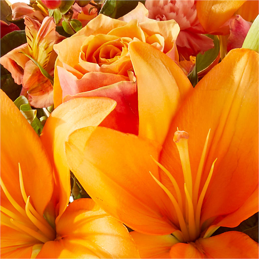 Afternoon Light Bouquet –  Gateway Florist, Rockwood TN