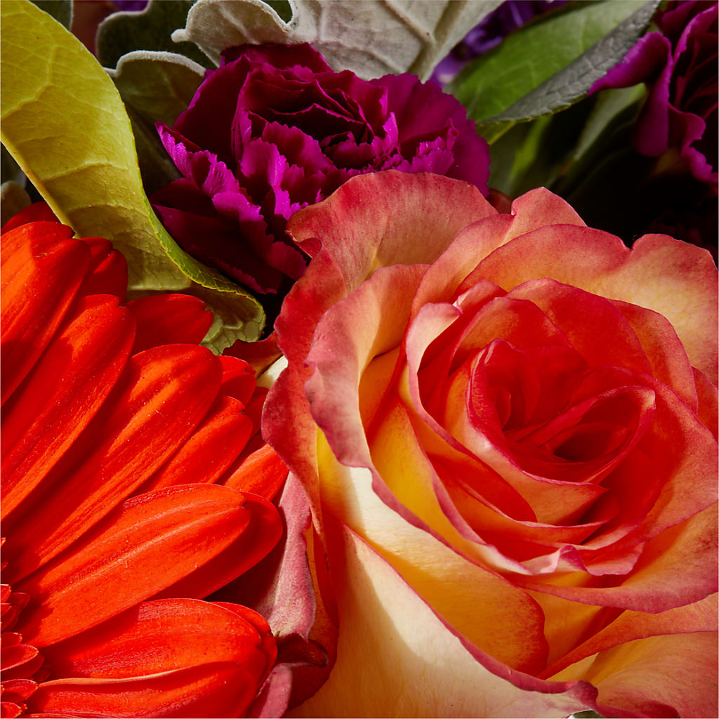 Sangria Bouquet –  Gateway Florist, Rockwood TN