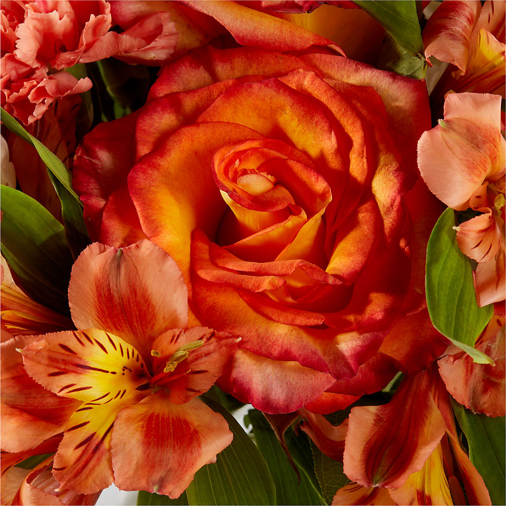 Apricot Glow Bouquet –  Gateway Florist, Rockwood TN