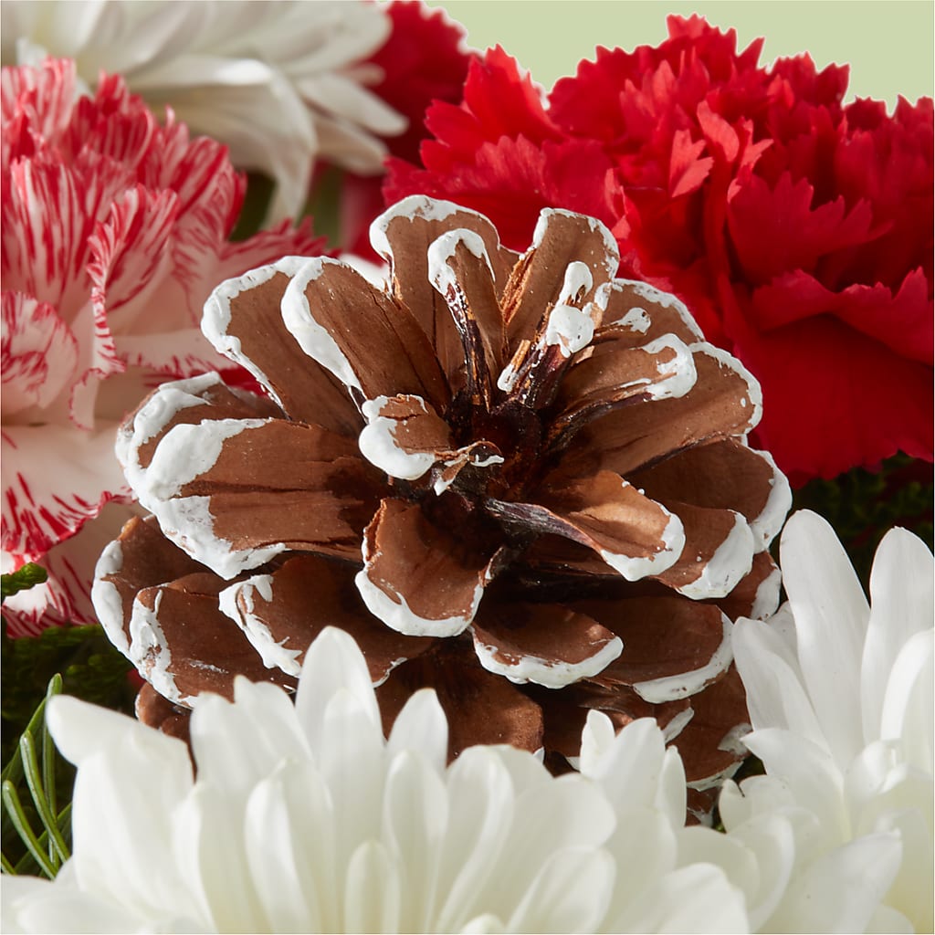 Candy Cane Lane Bouquet –  Gateway Florist, Rockwood TN