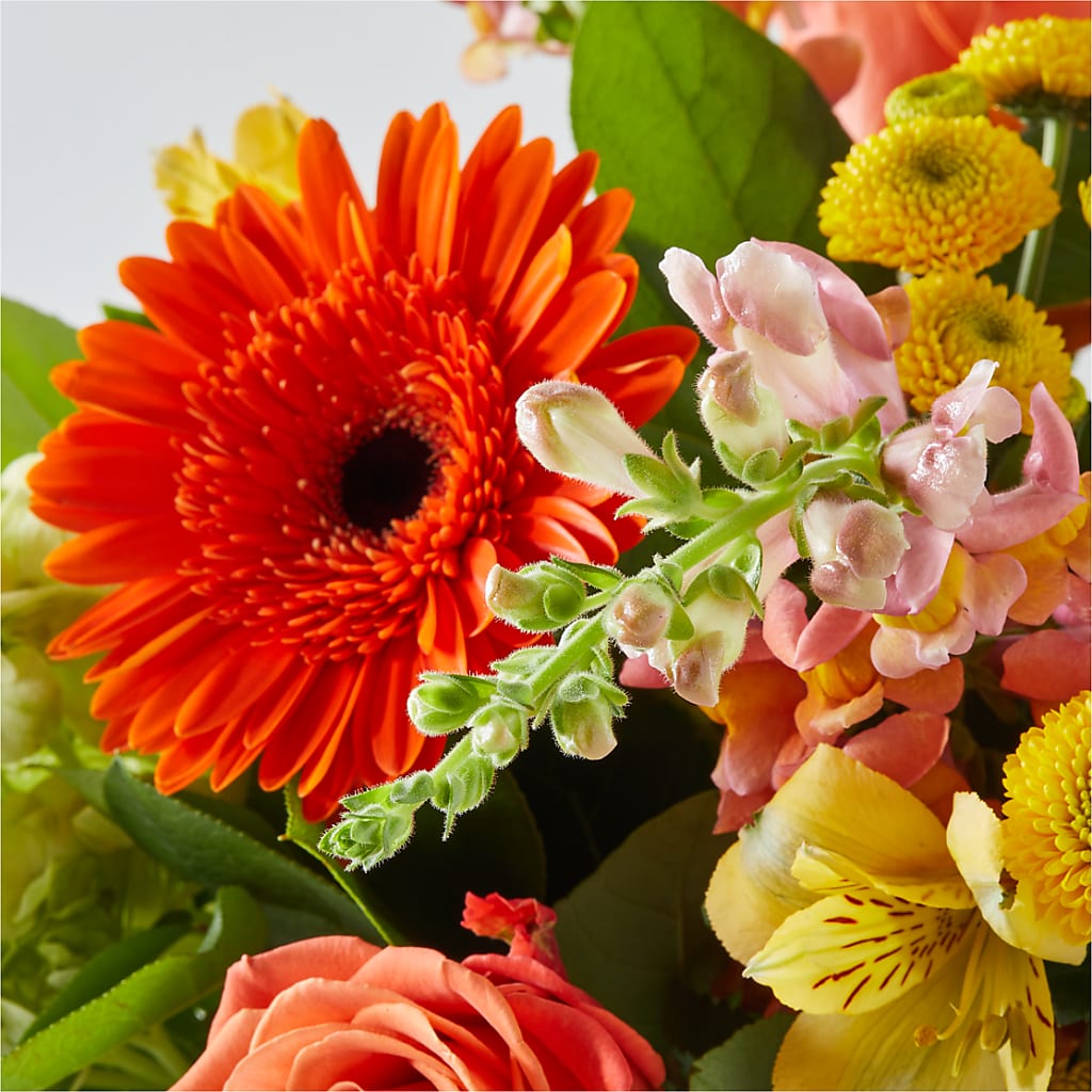 Autumn Sunshine Bouquet –  Gateway Florist, Rockwood TN