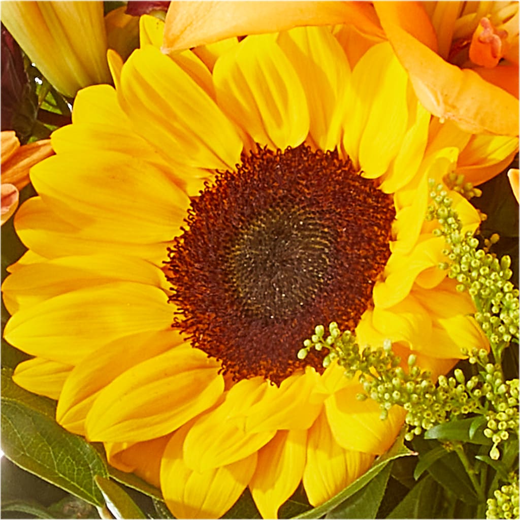 Seasons Change Bouquet –  Gateway Florist, Rockwood TN