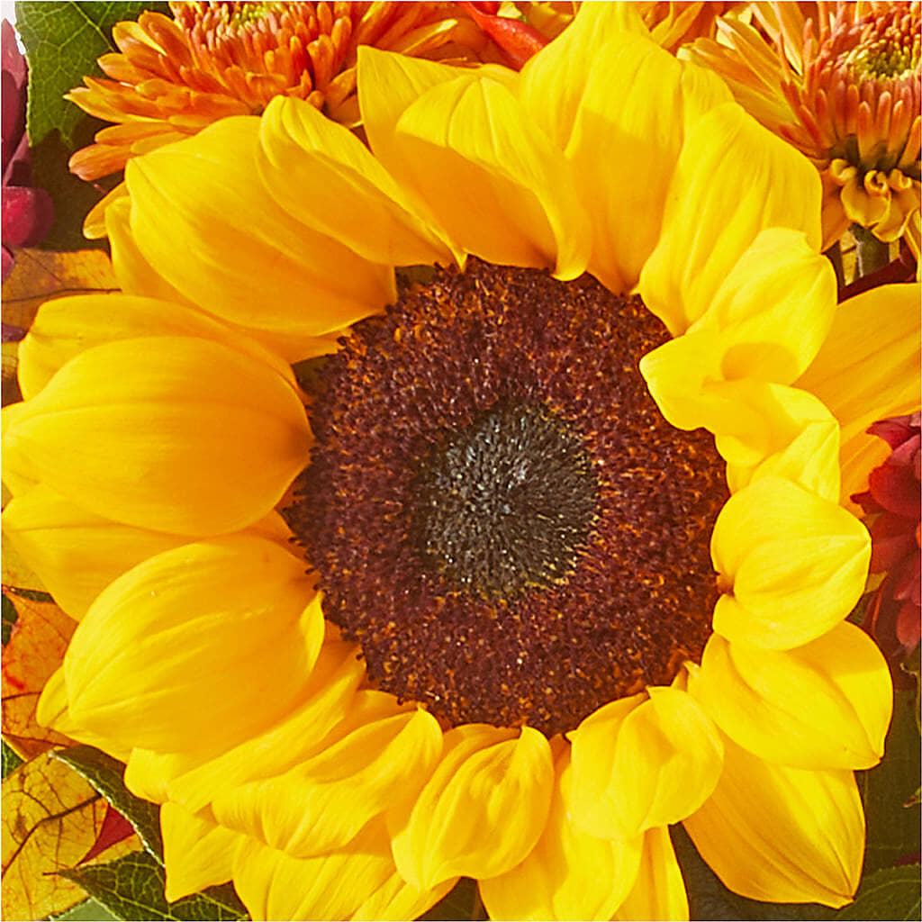 Sunny Side Bouquet –  Gateway Florist, Rockwood TN