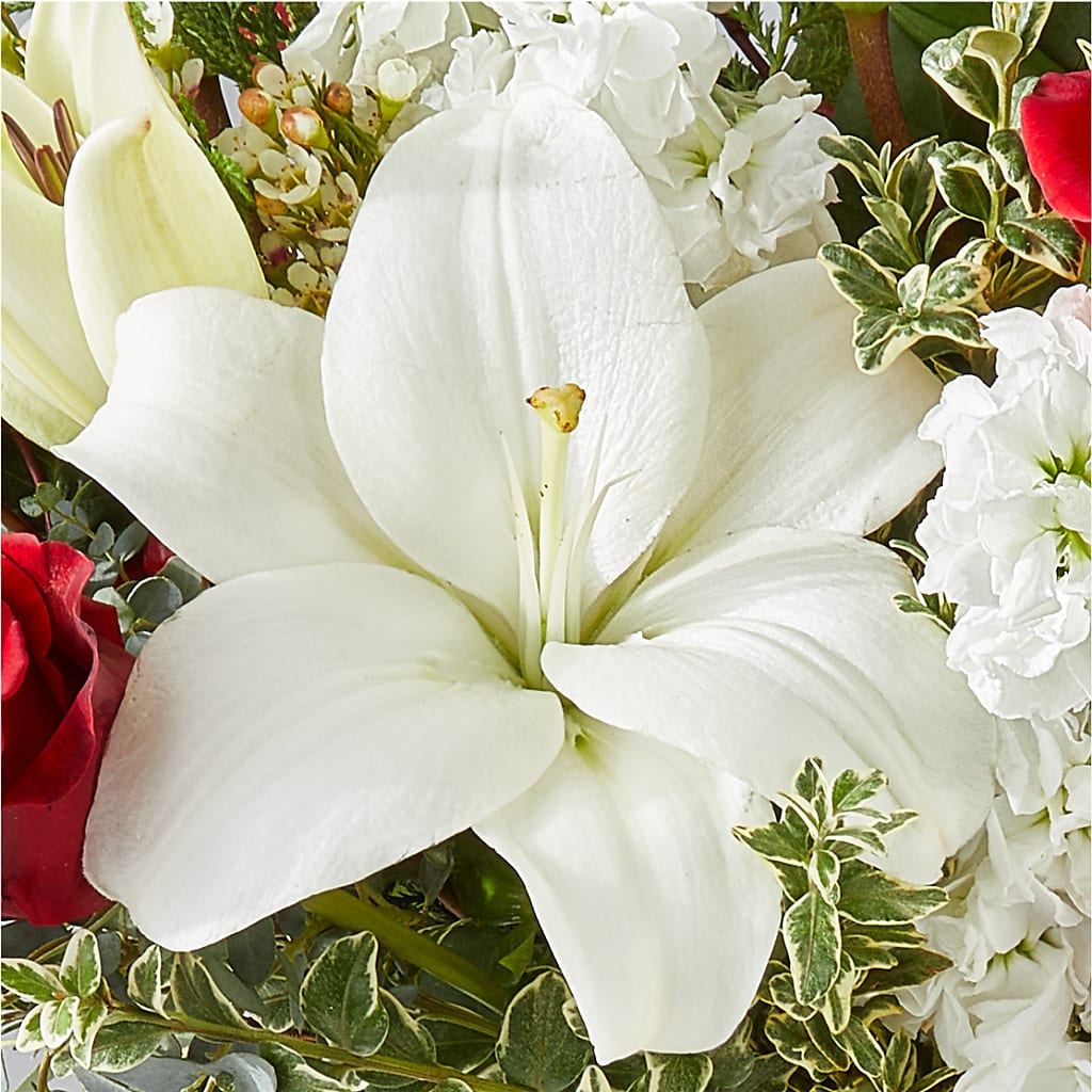 Twinkle Lights Bouquet –  Gateway Florist, Rockwood TN