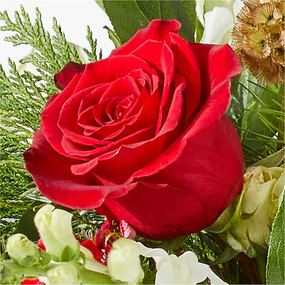 Deck the Halls Bouquet –  Gateway Florist, Rockwood TN