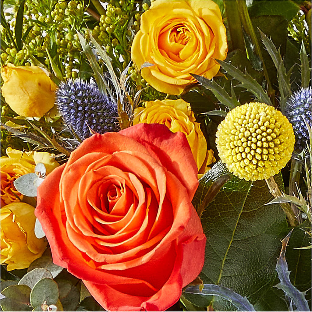 Disco Bouquet –  Gateway Florist, Rockwood TN