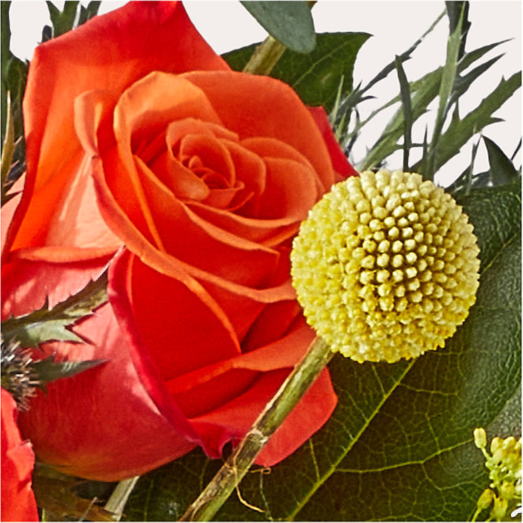 Disco Bouquet –  Gateway Florist, Rockwood TN
